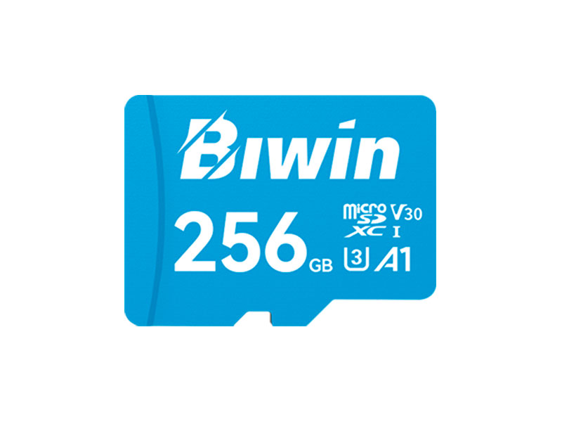 MEMORIA BIWIN MICRO SD MS100 256GB UHS-I